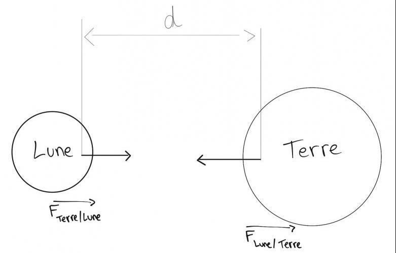 attraction gravitationnelle Lune/Terre