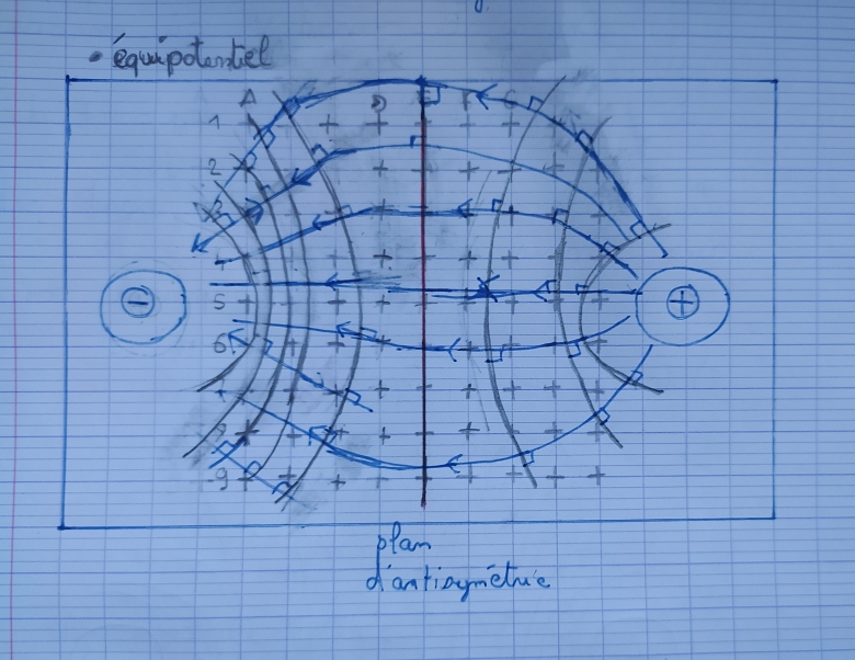 Equipotentielle et ligne de champ