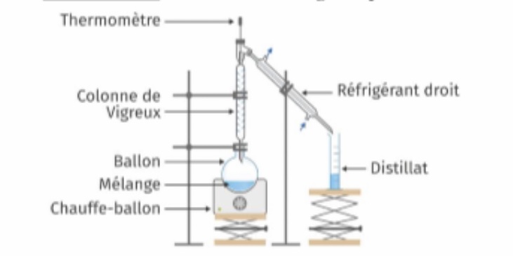 Une odeur de rhum