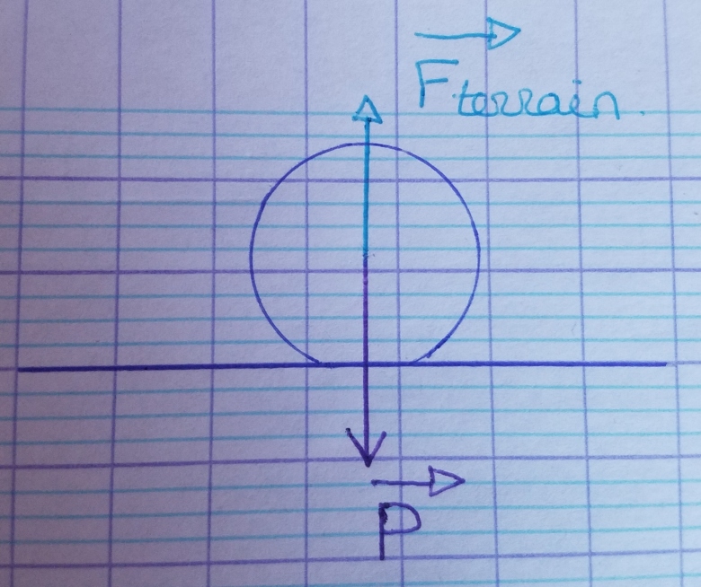 Les forces et interactions