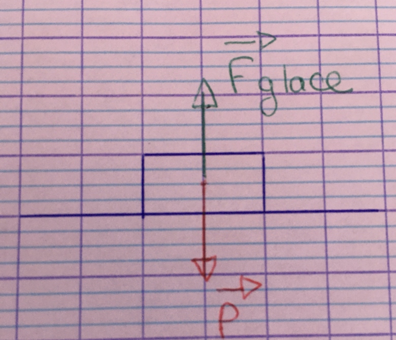 Exercice sur la force