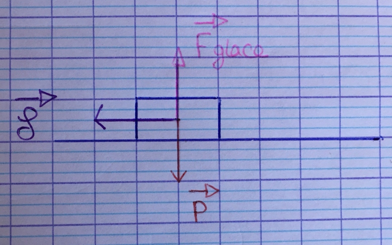 Exercice sur la force