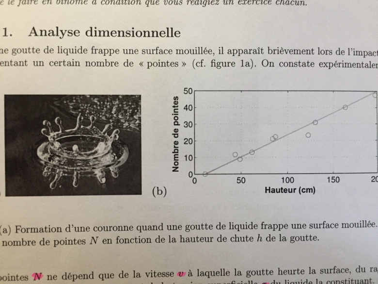 Analyse dimensionnelle 