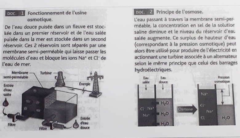 conversion chimico-mcanique dans une usine osmotique