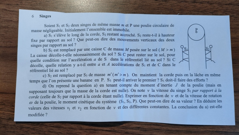 Singes et poulie