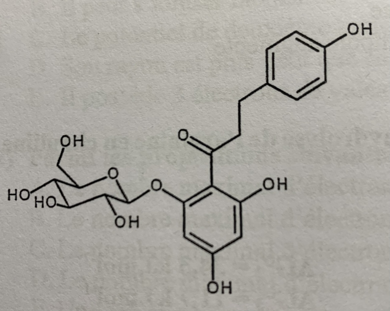 Questions biochimie QCM