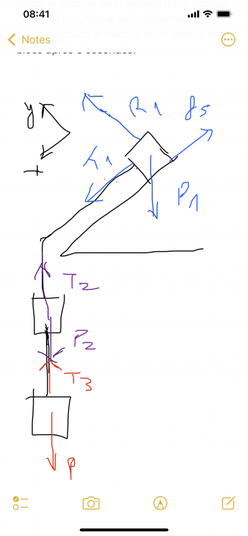 dynamique de la particule