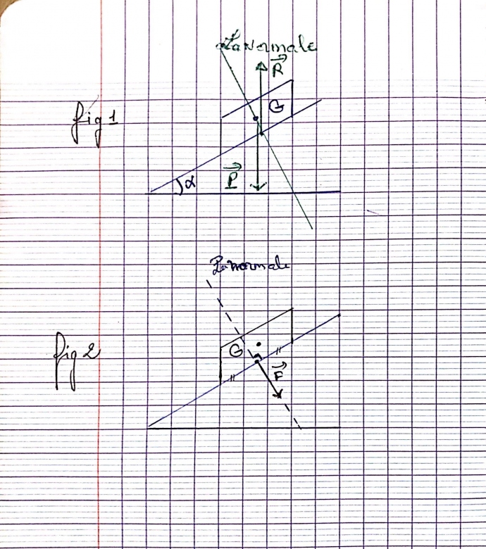 le mouvement