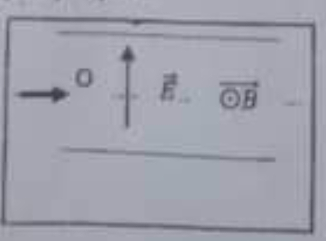 lectromagntisme 