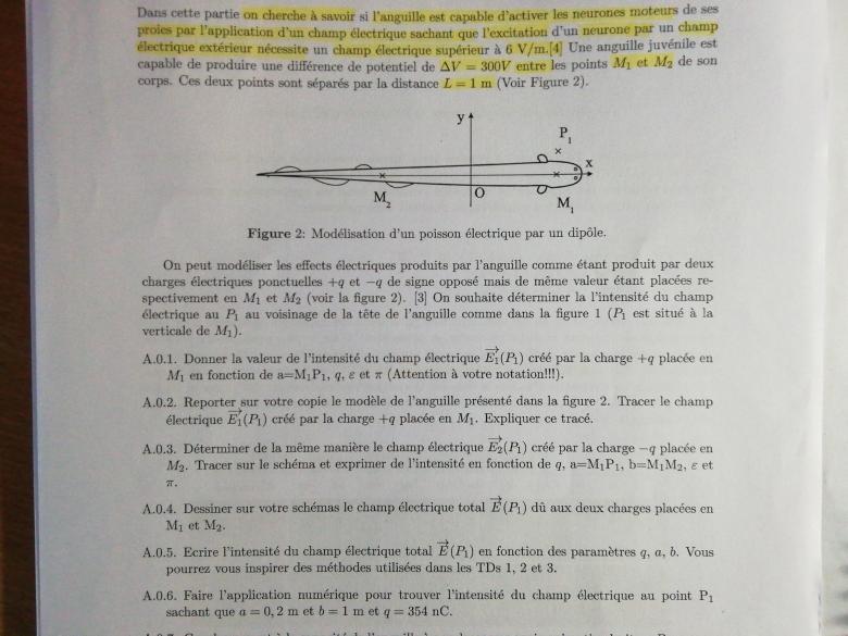 Champ lectrique et diple 