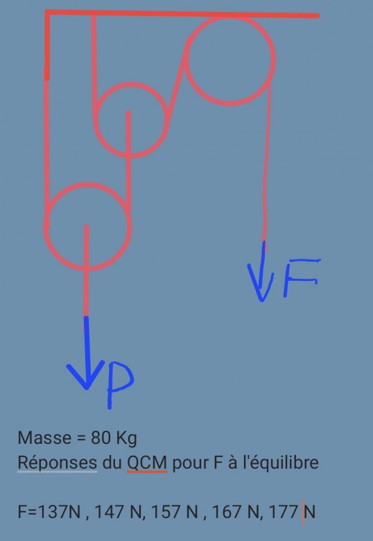 Problme de poulies