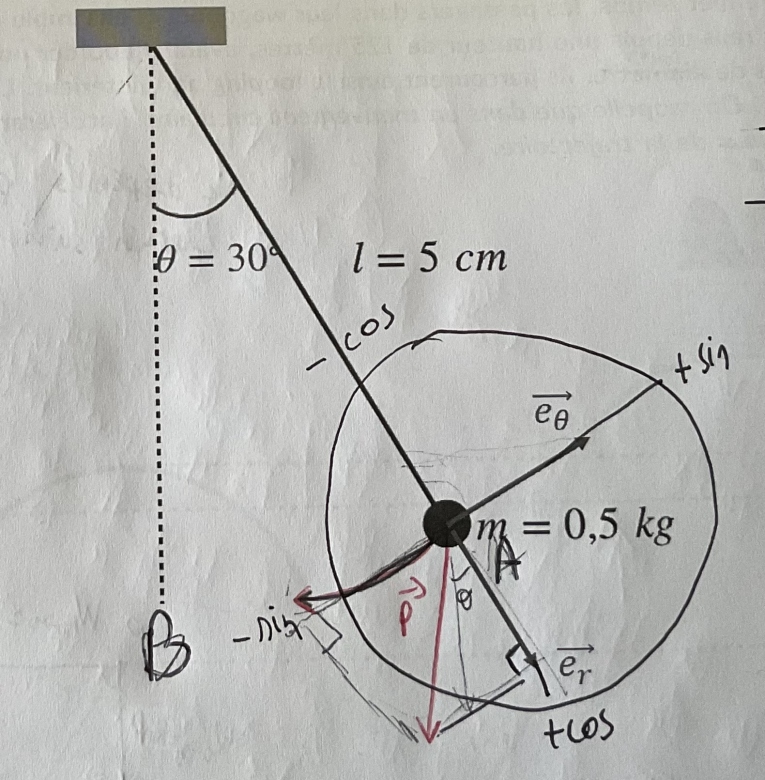 Le pendule simple 