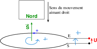 TP Induction -  Mesure osccillo de tension induite