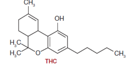 Spectromtrie de masse