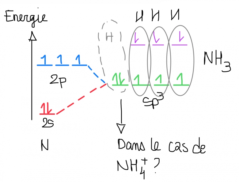 Interaction de NH3 avec un protons 