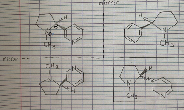 Molcule de nicotine