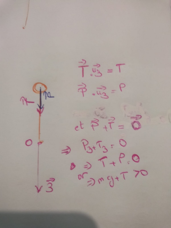 position instable d\'une pendule simple