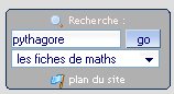 option de recherche dans le menu